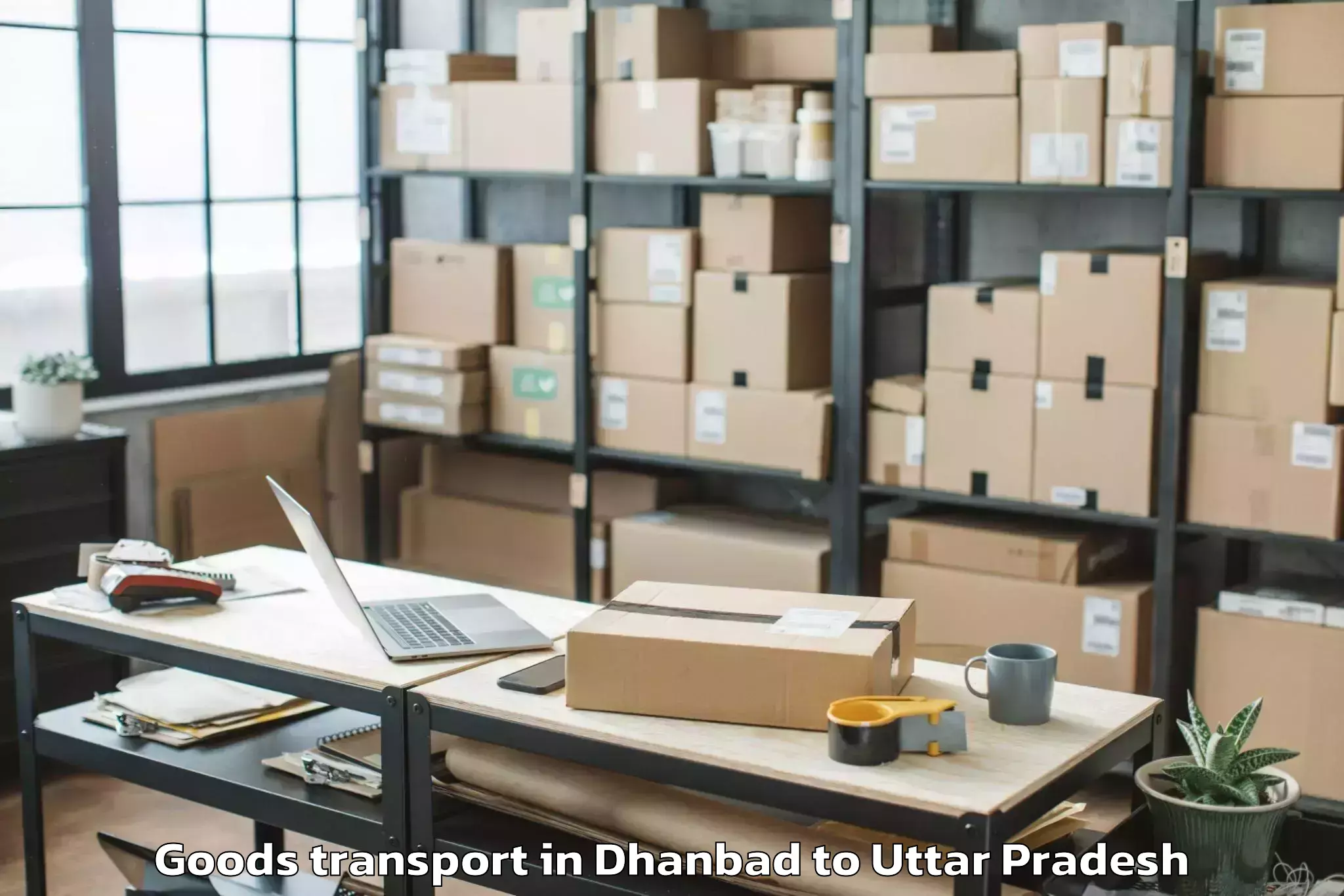 Hassle-Free Dhanbad to Aonla Goods Transport